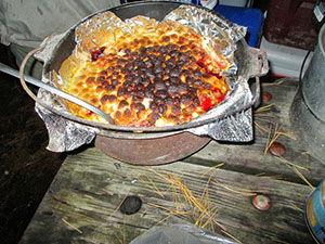 Russian Berry Pie